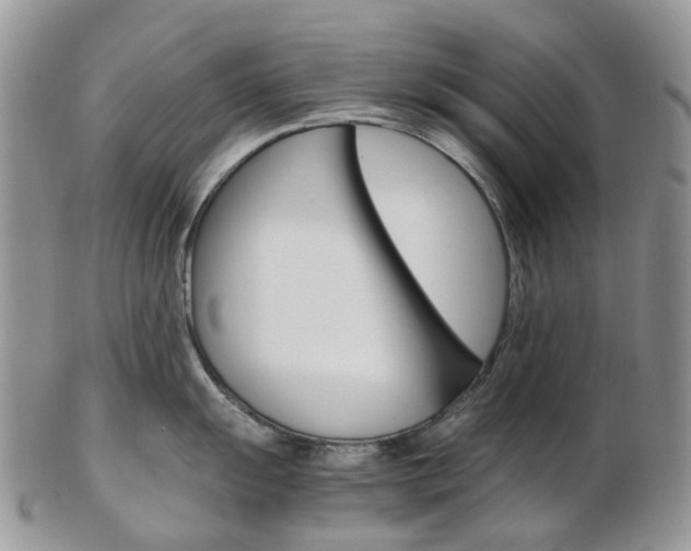 X0000103141055200808221100