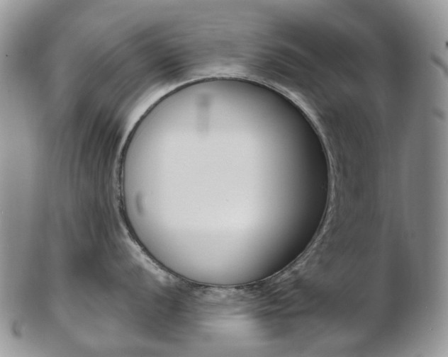 X0000103141056200808221100