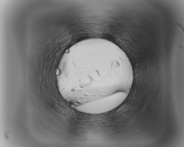 X0000103141057200808221059