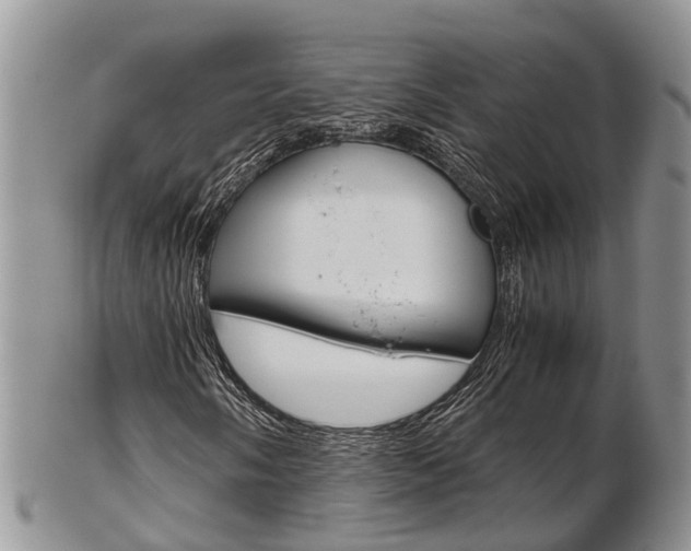 X0000103141058200808221059