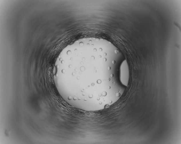 X0000103141059200808221059