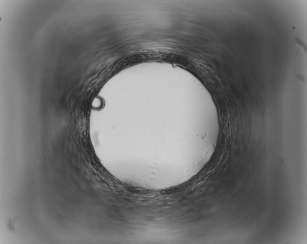 X0000103141061200808221059