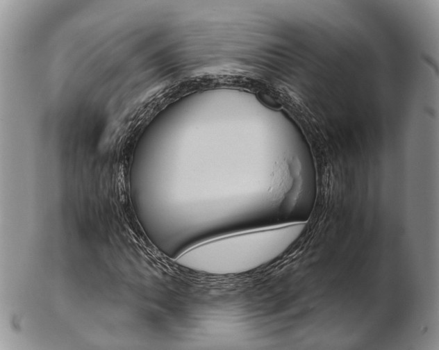 X0000103141062200808221059