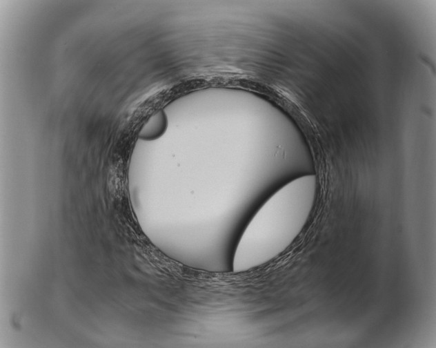 X0000103141063200808221059