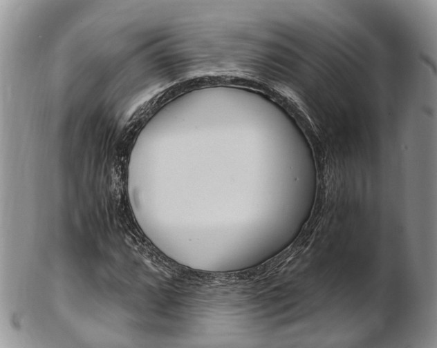 X0000103141064200808221059