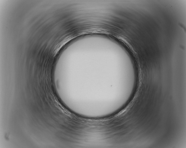 X0000103141065200808221059