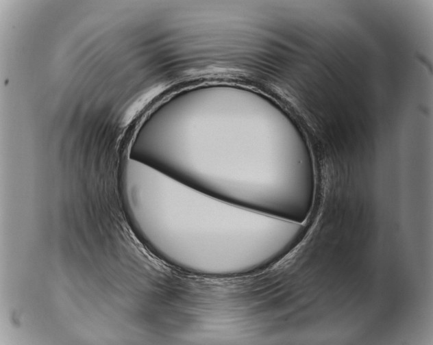 X0000103141066200808221059