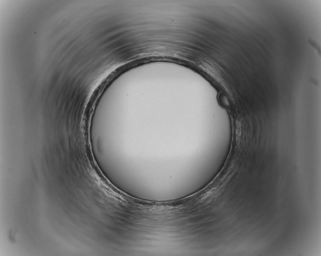 X0000103141068200808221059