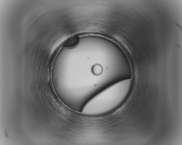 X0000103141069200808221059