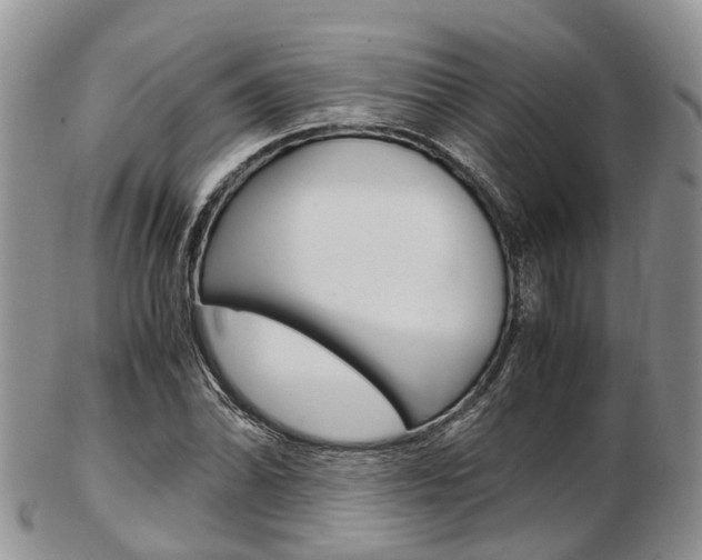 X0000103141070200808221059