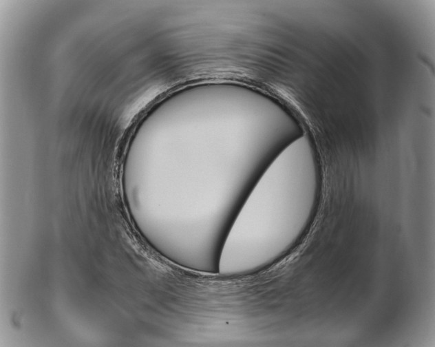 X0000103141071200808221059