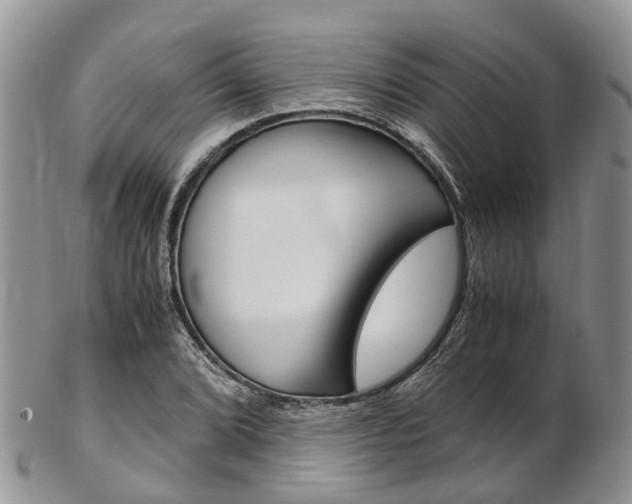 X0000103141072200808221059