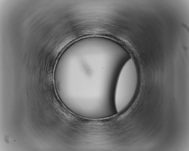 X0000103141073200808221059