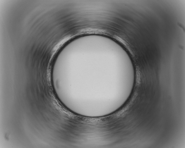 X0000103141074200808221059