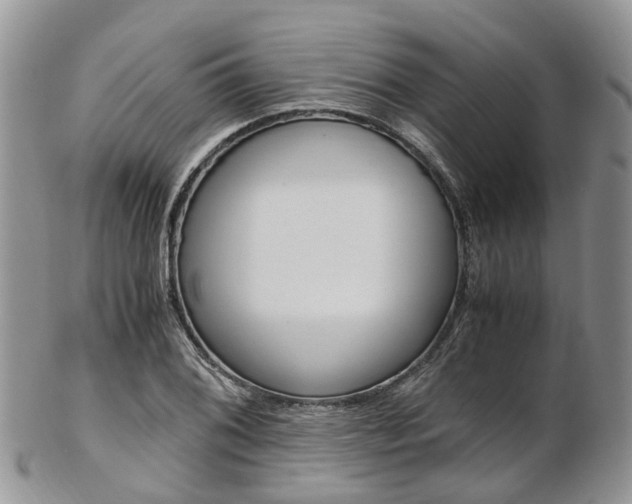 X0000103141076200808221059