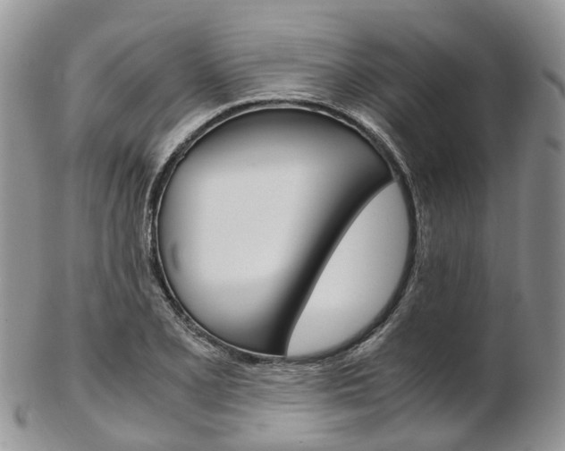 X0000103141077200808221059
