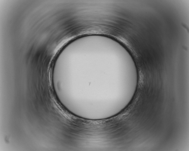 X0000103141078200808221059