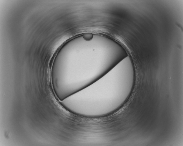 X0000103141079200808221059