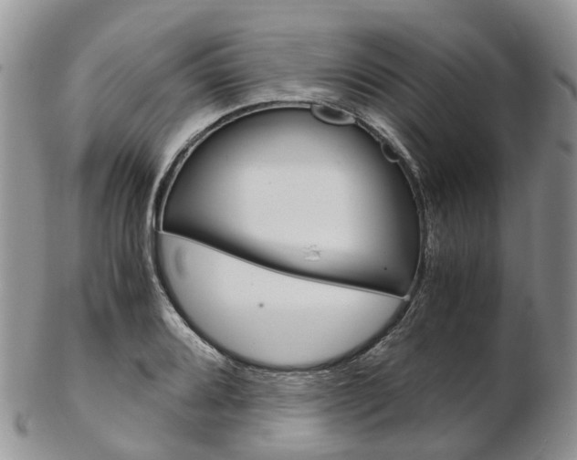 X0000103141080200808221059