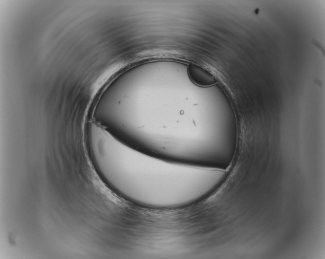X0000103141082200808221059