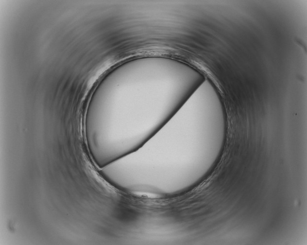 X0000103141083200808221059