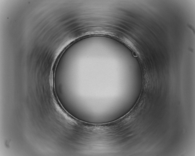 X0000103141084200808221059