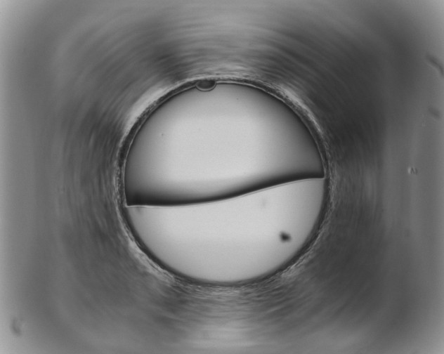 X0000103141085200808221059