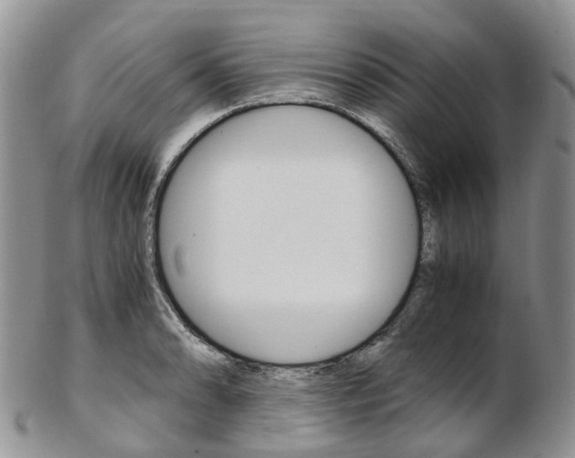 X0000103141086200808221059