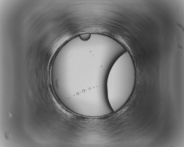 X0000103141087200808221059