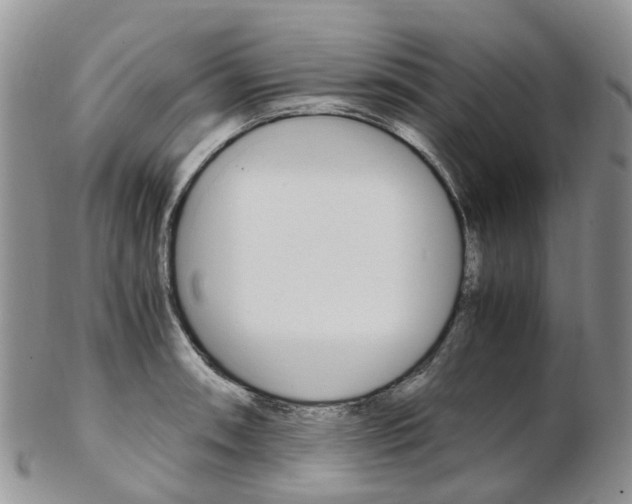 X0000103141090200808221059