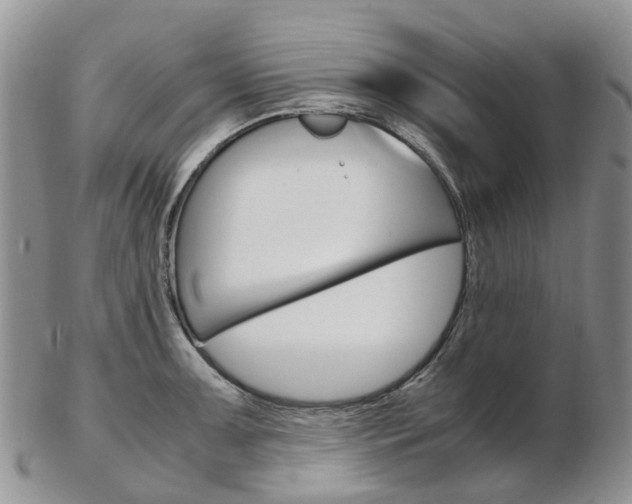 X0000103141091200808221059