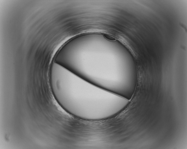 X0000103141092200808221059