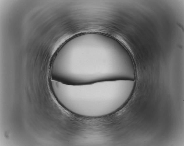 X0000103141093200808221059