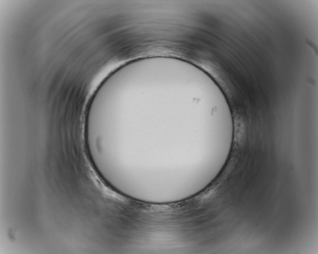 X0000103141094200808221059