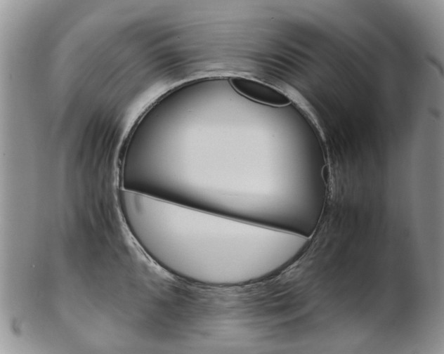 X0000103141096200808221059
