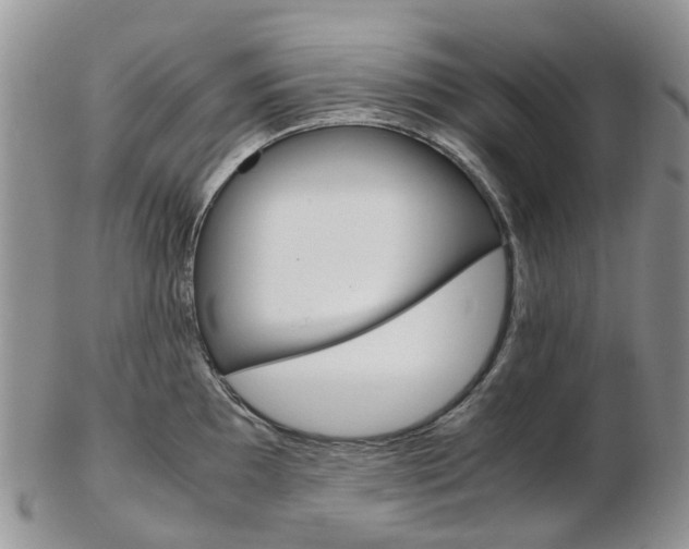 X0000103141097200808221059