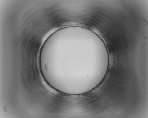X0000103141098200808221059
