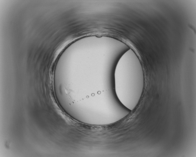 X0000103141099200808221059