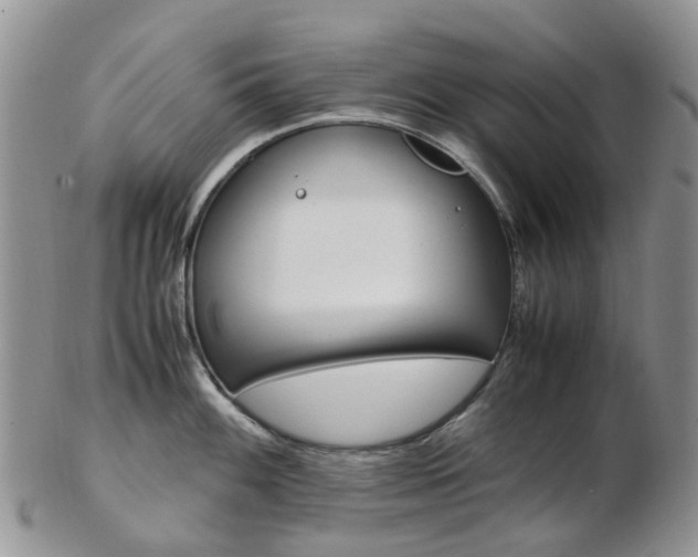 X0000103141100200808221059