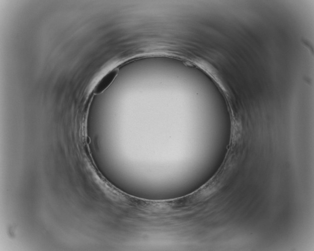 X0000103141101200808221059
