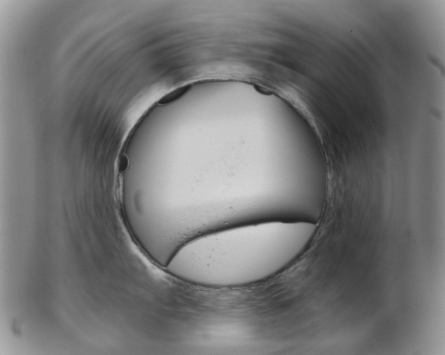 X0000103141103200808221058