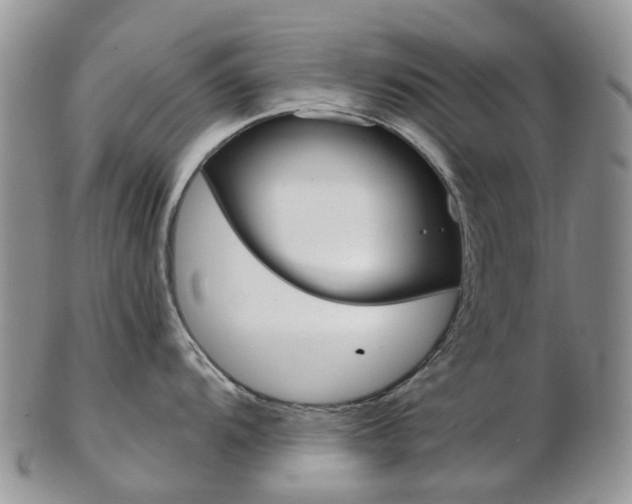 X0000103141104200808221058