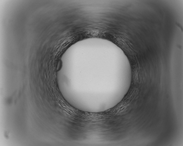 X0000103141105200808221058