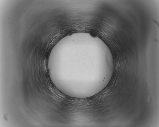 X0000103141106200808221058