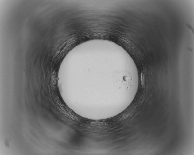 X0000103141107200808221058