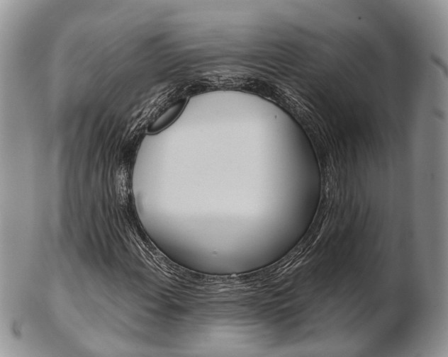 X0000103141108200808221058