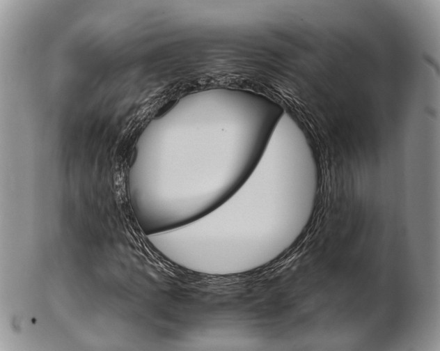 X0000103141109200808221058