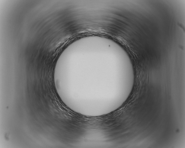 X0000103141110200808221058