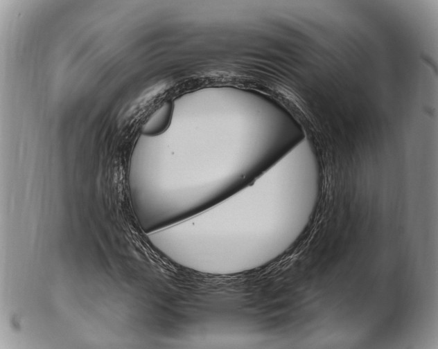 X0000103141111200808221058