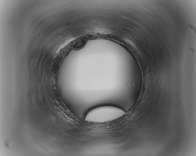 X0000103141112200808221058